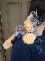 Fantasy Art Woodbaby Unicorn Renaissance Shoulder Puppet Fantasy Kunst Puppen