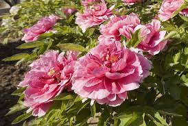 An christi himmelfahrt haben wir gefeiert, dass jesus zu gott in den himmel kam. Glaube Und Kirche Pfingsten Feiern Wir Das Kommen Des Hl Geistes