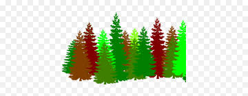Check spelling or type a new query. Pine Tree Line Vector Pine Trees Silhouette Png Tree Line Png Free Transparent Png Images Pngaaa Com