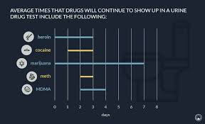 Pin on popular drug tests. How To Read Urine Drug Test Cup Results Ovus Medical