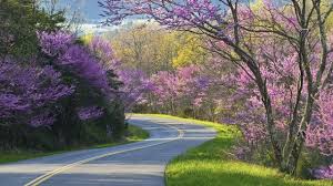 Share loc 9 jalan setapak di dunia yang memiliki pemandangan luar. Pemandangan Jalan Terindah Jalanan Dengan Pemandangan Terindah Di Dunia Galeri Foto Otosia Com Otosia Com