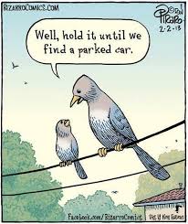 Traveling With Young Children In 2020 Funny Pictures Funny Cartoons Funny Images