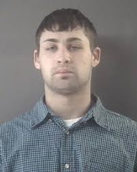 Facebook felony: Egelston Township parolee gets jail for vicious videotaped  raccoon-dog fight