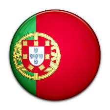 Image result for psd portugal