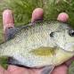 Family Fishing Program