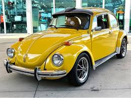 Image result for Medium Brown 1949 Beetle