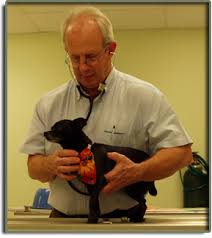 Island pet hospital palm beach. North Palm Beach Animal Clinic Serve North Palm Beach Palm Beach Gardens Singer Island Lake Park Florida Fl