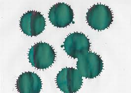 Check spelling or type a new query. Ink Review 536 3 Oysters Aqua Green Mountain Of Ink