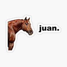 He is the son of veteran actors edu manzano and vilma santos. Juan Meme Stickers Redbubble