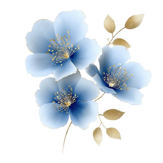 https://encrypted-tbn0.gstatic.com/images?q=tbn:ANd9GcRt7x1-lxN6LS6P7GKffcfCNJ7eju4lqCRIqI1J52sSJw&s=10