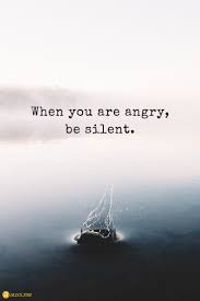 When You Are Angry Be Silent Water Waterdrop Angry Silent Thoughts Water Waterdrop Silent Quotes Words Quotes Quotable Quotes