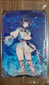 Lancer Utsumi Erice Fate Grand Order FGO Wafer Card Vol 10 N 4 Bandai NEW |  eBay