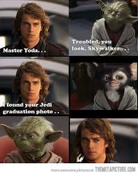 Yoda S Graduation Photo Star Wars Humor Star Wars Memes Funny Star Wars Memes