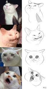 Animal drawing is the comprehensive guide to developing artistic animals that are creative, dynamic and anatomical, bridging the gap between foundational art and advanced techniques. Miji On Twitter Cute Drawings Cat Drawing Animal Drawings