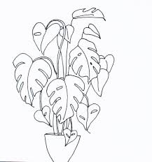 All orders are custom made and most ship worldwide within 24 hours. Items Similar To Cheese Plant Monstera Deliciosa An Original Art Greetings Card On Etsy Plant Drawing Plant Sketches Plant Art