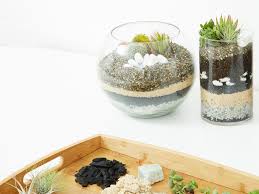 California cactus center's malinee romero walks through creating a succulent container garden & basic care at the hill avenue branch library our address: How To Make A Terraarium Begginers Ultimate Guide Realestate Com Au