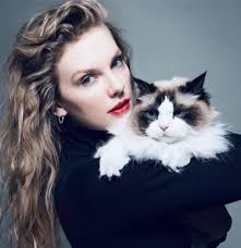 SIndiana Fever rookie Caitlin Clark was asked Wednesday about her decision  to like Taylor Swift's endorsement of Vice President Harris.