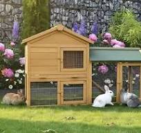Cage Clapier Enclos Lapin Extérieur en Bois de pin Haute ...