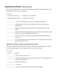 Free interactive exercises to practice online or download as pdf to print. A P Coloring Nervous Worksheet Pdf Nervous System Autonomic Nervous System
