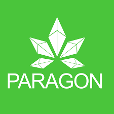 Choose from hundreds of fonts then just save your new logo on to your computer! Paragon Download Logo Icon Png Svg