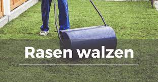 Artikelinhalt wann kommt die handwalze zum einsatz? Rasen Walzen Garten Schule