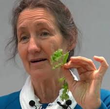 Who in the Mobridge area makes and sells body scrubs, bath bombs, and  self-care items?