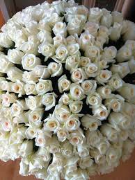 In The Love Language Of Flowers White Roses Mean Heavenly And Eternal Love Pretty Flowers White Flowers Flower Arrangements