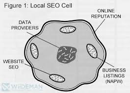 Image result for seo data