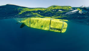 Image result for Blue Royal 1986 UMM