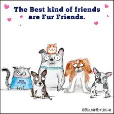 Red And Howling Fur Baby Quotes Dog Quotes Animals