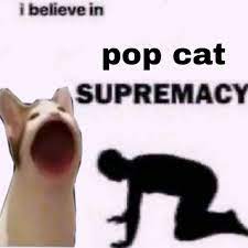 14.9 gib display display technology: All Hail Pop Cat In 2021 Pop Cat Pop Cats