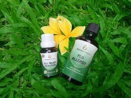 Pin Di Annise Herbal