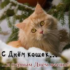 Что бы скачать бесплатно и без регистрации картинку, перейдите на страницу с открыткой, кликнув по. Den Koshek 1 Marta Prikolnye Kartinki Gifki I Pozdravleniya S Dnyom Koshek