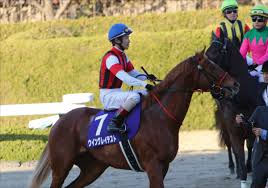 A day of meiner ho o ～誘導馬・マイネルホウオウの一日～. Jra Nhkãƒžã‚¤ãƒ«c G1 ã¸ å› ç¸ æ®‹ã‚‹ Nzt G2 3ç€ã‚¦ã‚¤ãƒ³ã‚°ãƒ¬ã‚¤ãƒ†ã‚¹ãƒˆèª¿æ•™å¸« ã‚¿ãƒ©ãƒ¬ãƒè¨€ã„ãŸããªã‚‹ æ¨ªå±±æ­¦ 4ã‚³ãƒ¼ãƒŠãƒ¼ã®ä¸åˆ©ãŒ Gj