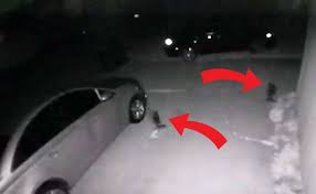 Creepy monster video caught on tape!! Ufo Hunter Claims Small Alien Creatures Caught On Security Camera Are The Real Weird News Express Co Uk