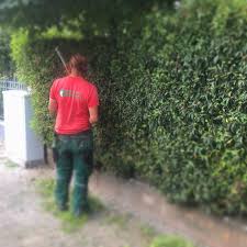 Gartendorsch Eswirdgrun Garden Gardenwork Gardenplaning Gardenlife Gardendesign Gardeninspiration Gardenlife Landcape Gartenbau Gartenpflege Garten