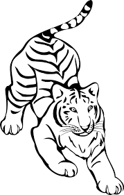 Here you can explore hq black and white tiger transparent illustrations, icons and clipart with filter setting like size, type, color etc. Crouching Tiger Black And White Clipart Free Download Transparent Png Creazilla