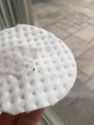 I've found tiny bugs that are always in my bathroom shower usually in large numbers. Tiny Brown Bugs In Bathroom Shefalitayal