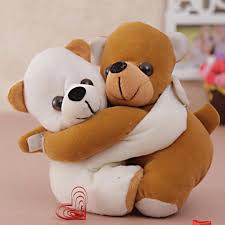 Cute Hugging Teddy Soft Toy, Teddy Day Delivery in Ahmedabad