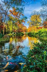 Fort Worth Botanical Gardens Texas Amazing Places On Earth Beautiful Nature Beautiful Landscapes