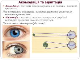 ÐŸÑ€ÐµÐ·ÐµÐ½Ñ‚Ð°Ñ†Ñ–Ñ Ð½Ð° Ñ‚ÐµÐ¼Ñƒ Ð'Ð°Ð´Ð¸ Ð—Ð¾Ñ€Ñƒ â€” Ð¿Ñ€ÐµÐ·ÐµÐ½Ñ‚Ð°Ñ†Ñ–Ñ— Ð· Ð±Ñ–Ð¾Ð»Ð¾Ð³Ñ–Ñ— |  GDZ4YOU