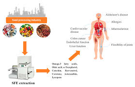 O zi superba sa aveti! Processes Free Full Text The Application Of Supercritical Fluids Technology To Recover Healthy Valuable Compounds From Marine And Agricultural Food Processing By Products A Review Html