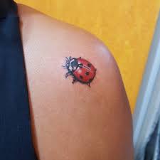 Joaninha 3D...😲😲😲 Vem vc também fazer uma tatoo 3D top como  essa...😉😉😉 ▫ Traço super fino, pigmentação 100%, e o principal tenho a  mão leve 😉👍 ▫ Preços ÓTIMOS💲, me chame no