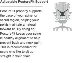 Herman Miller Classic Aeron Chair Posturefit Support Kit Graphite Size C
