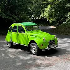 Image result for Verde Chiaro 1978 Fleet