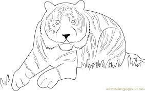 Size this image is 37489 bytes and the resolution 512 x 384 px. Eye Of The Tiger Coloring Page For Kids Free Tiger Printable Coloring Pages Online For Kids Coloringpages101 Com Coloring Pages For Kids
