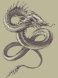 竜 フクロウ ワニ サメ ウサギ トカゲ 蛙 カエル 魚系 おしゃれまとめの人気アイデア pinterest saki サメ トカゲ 生き物