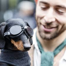 The Distinguished Gentleman's Ride through London