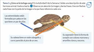 Usted como se juega el juego que usted no conoce y usted a la vez comente los juegos que no conoce su hija/o. Actividades De Cierre Hoja 1 Cuadernillo 6 De Segundo Y Tercer Grado Pag 36 A 38 Youtube