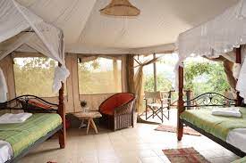 Elangata olerai tented camp is located in masai mara national reserve in a clean and quite environment and made of 20 luxurious tents some with double beds options. Elangata Olerai Luxury Tented Camp Bewertungen Fotos Preisvergleich Kenia Tripadvisor